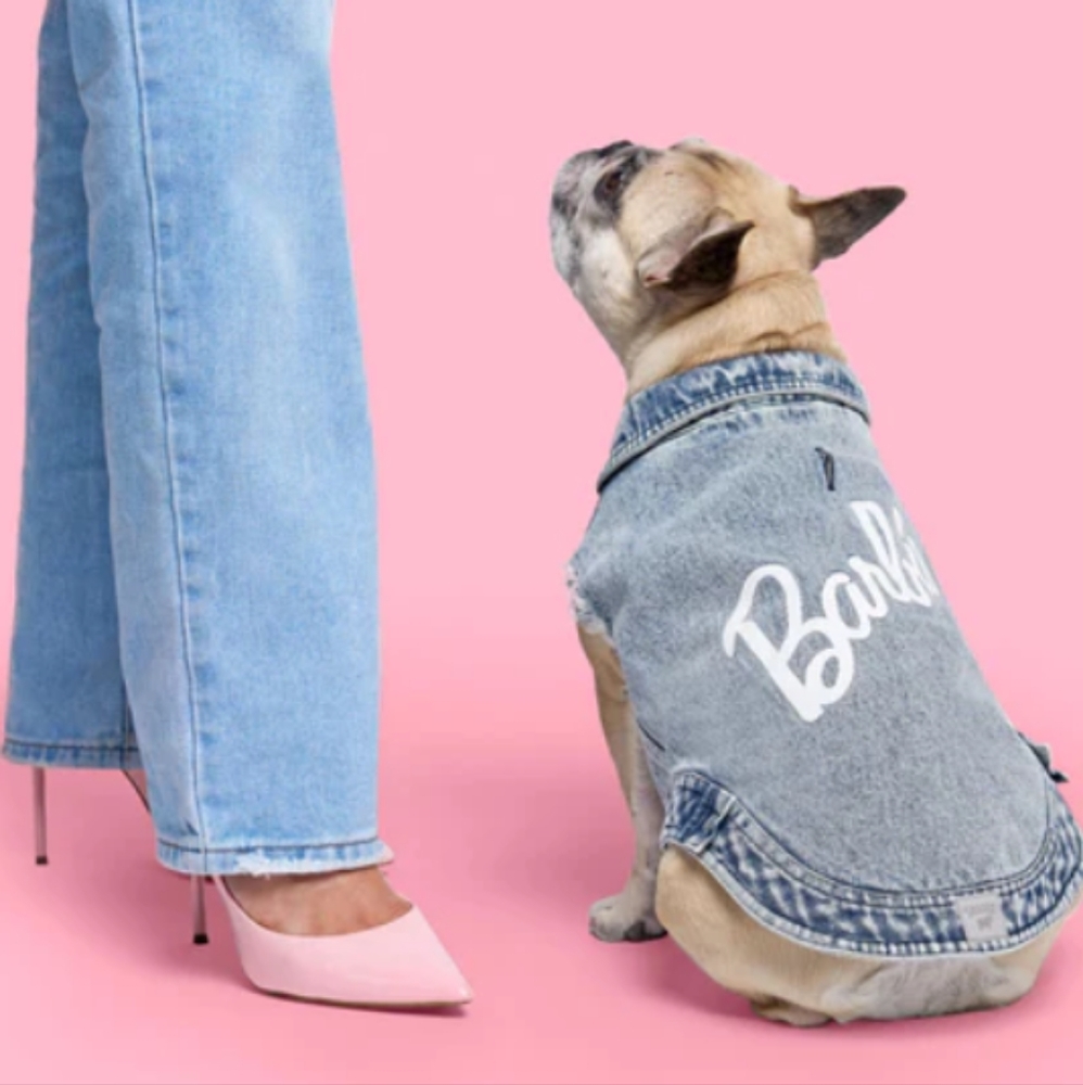 NEW BARBIE Downtown Denim Jacket